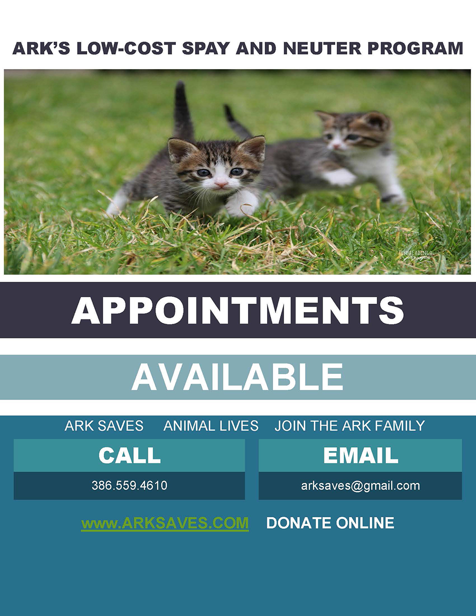 Spay & Neuter flyer for kittens