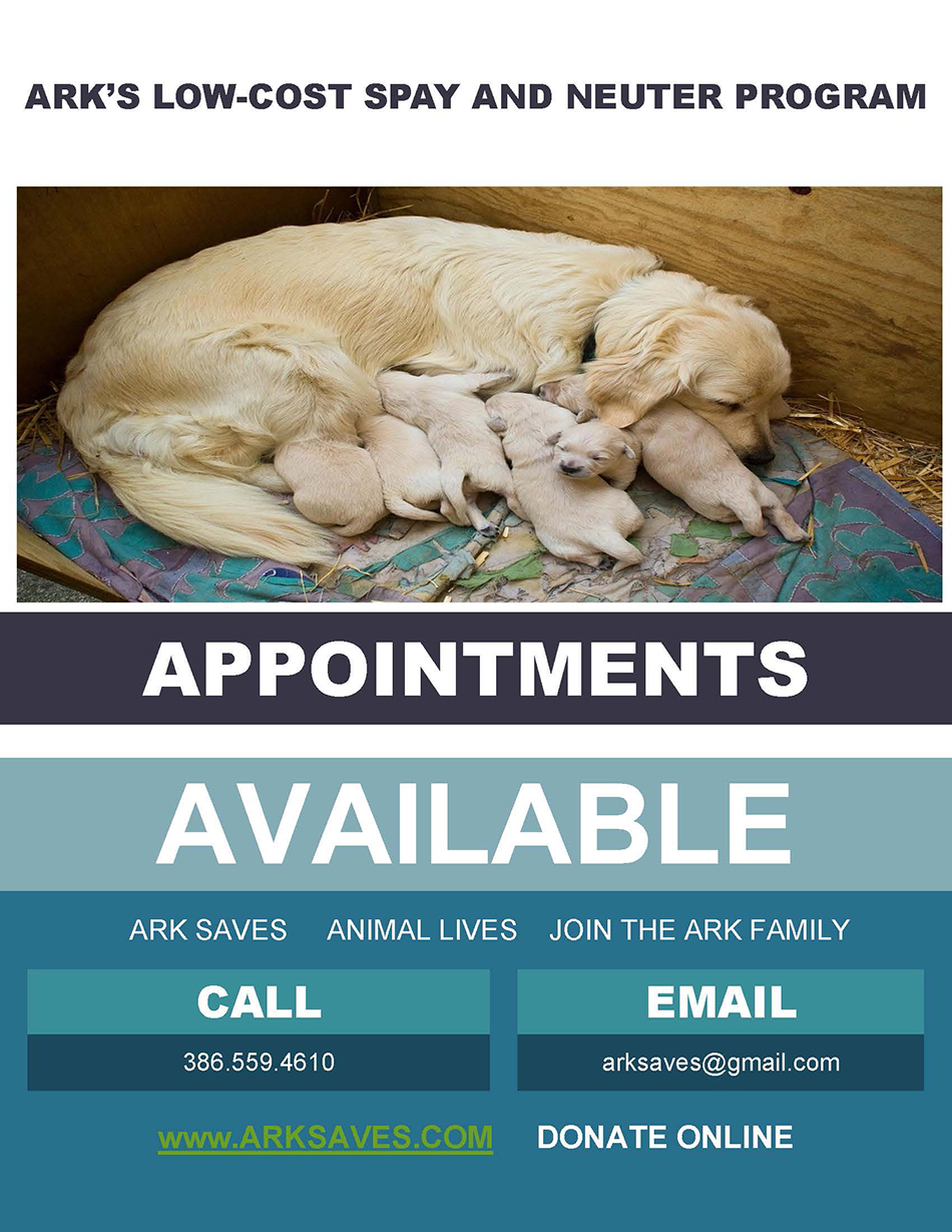 Spay & Neuter flyer for puppies