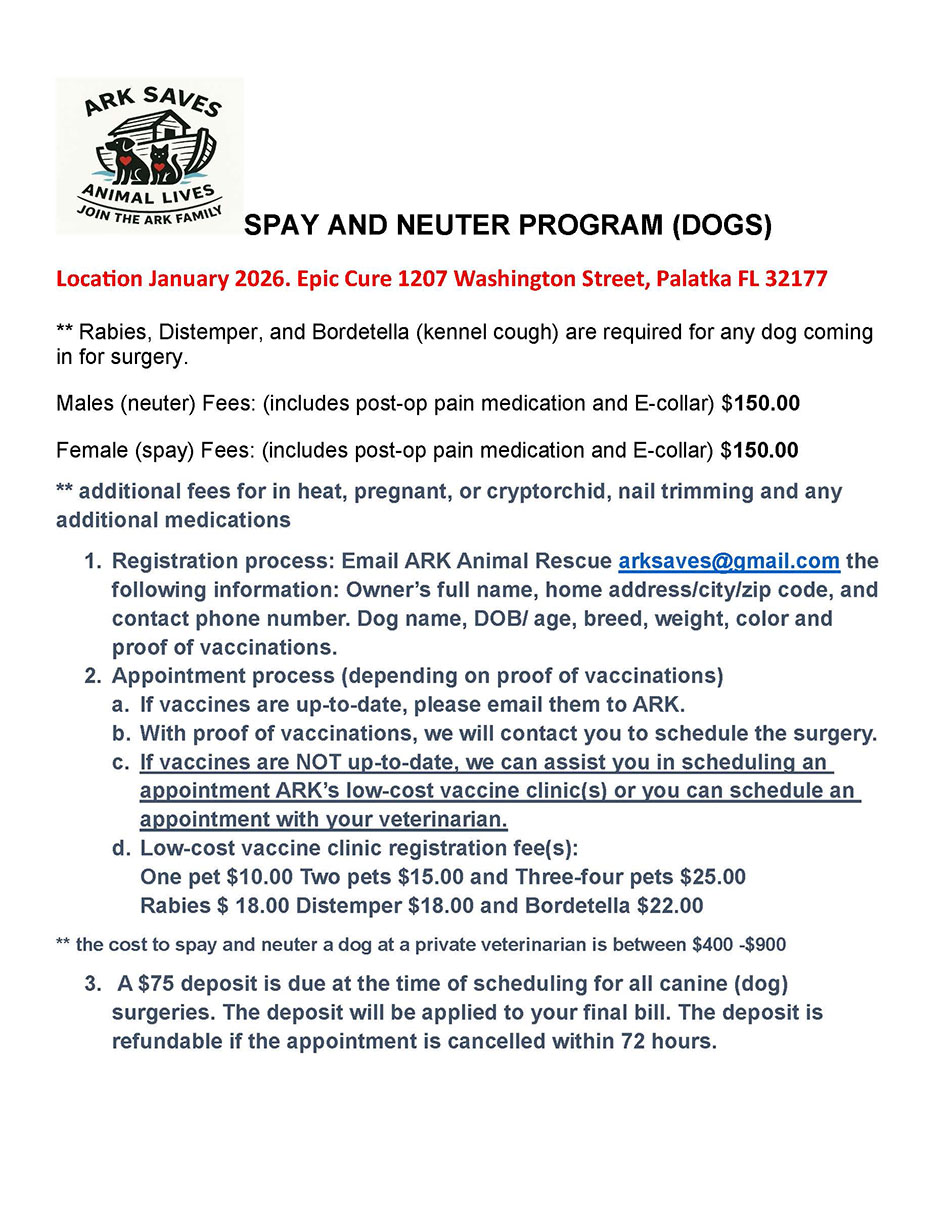Spay & Neuter flyer for Dogs