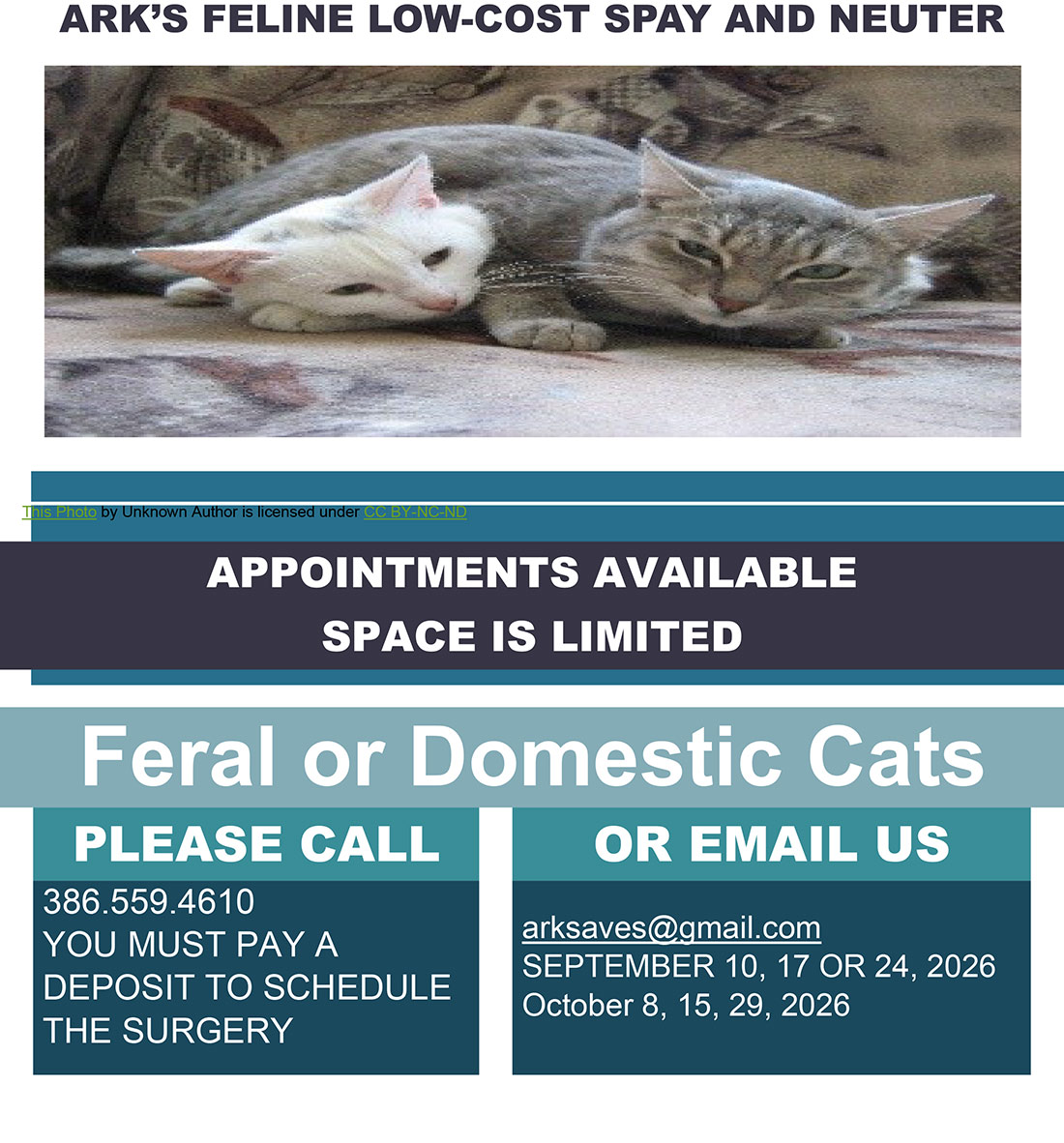 Spay & Neuter flyer for Dogs